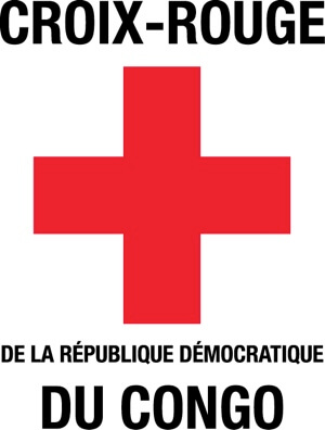 chef.fe de sous délégation - kenge - rdc