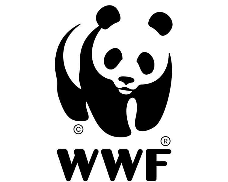 Responsable recherche et inventaires biologiques/ WWF-RDC/Fonds mondial pour la nature (WWF)