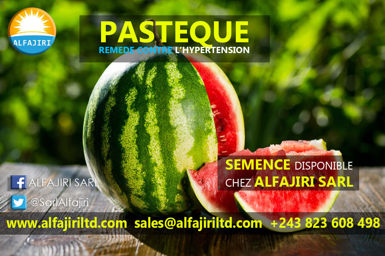 SEMENCE PASTEQUE