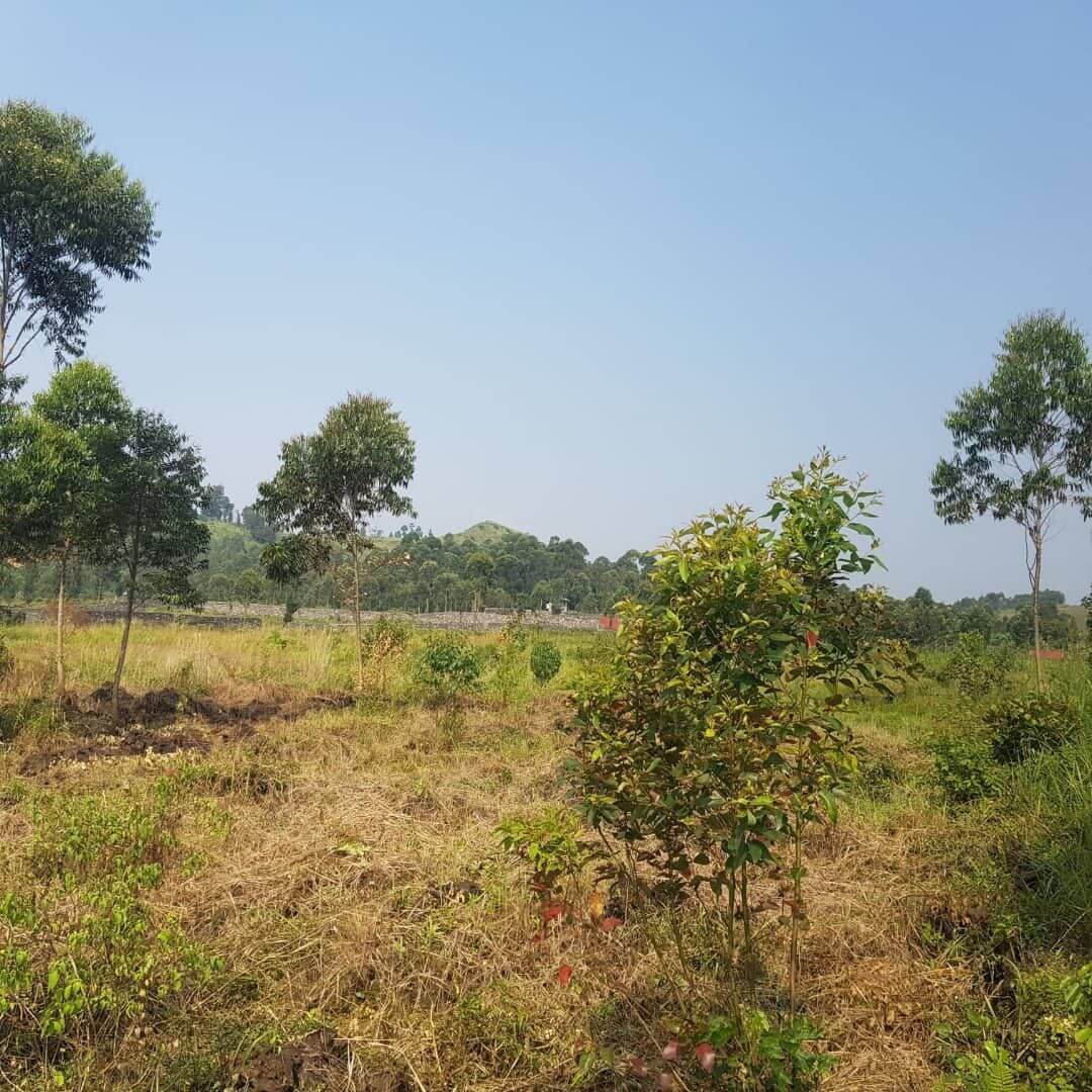Terrain en vente, Quartier Lac-Vert à Goma/Nord-Kivu