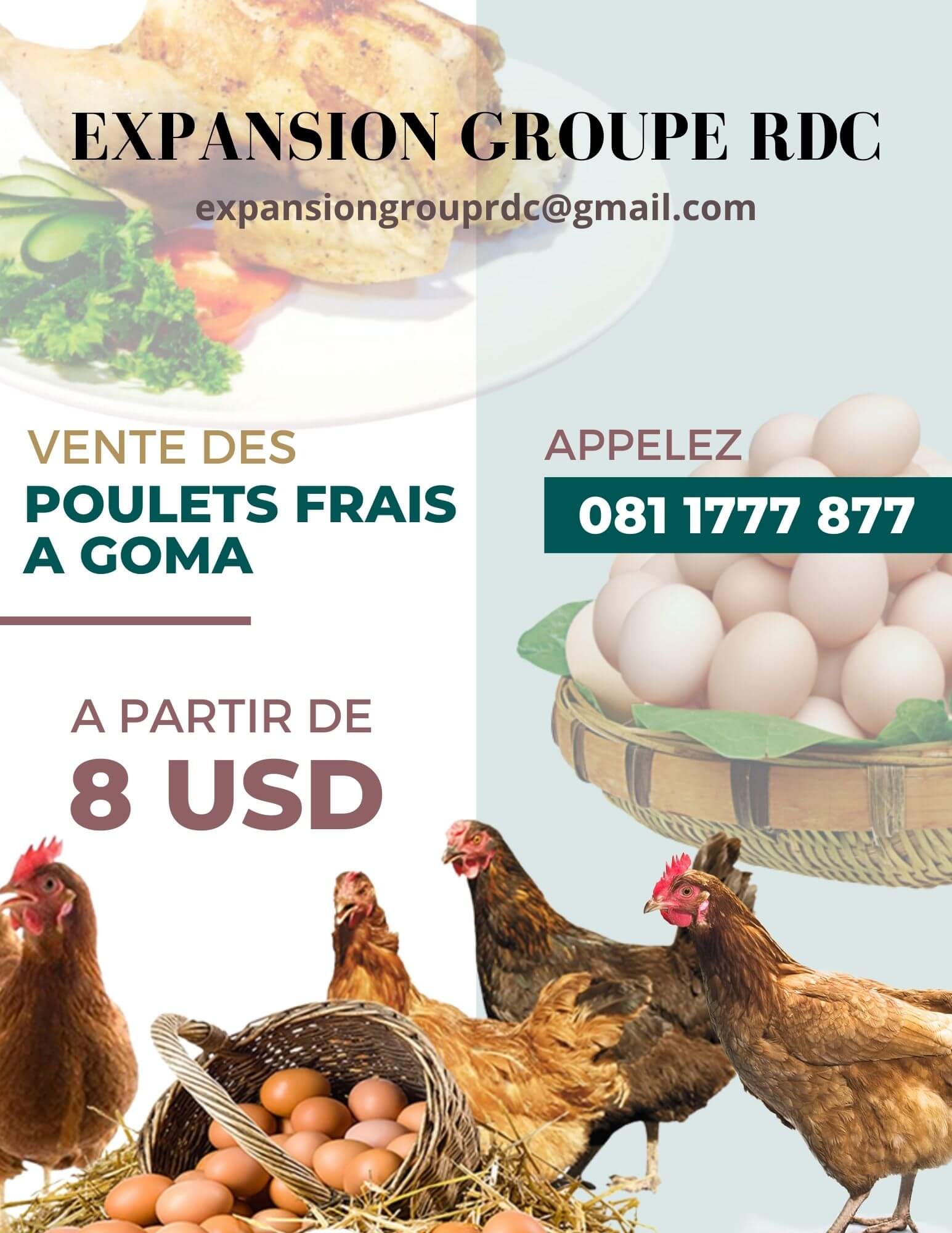 Vente des poulets frais à Goma