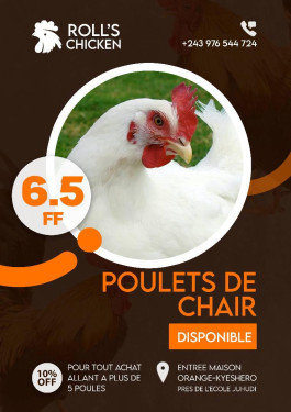 Poulets de chair disponible à bon prix