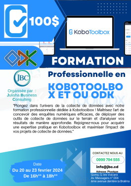 Formation Professionnelle en KoboToolBox et/ou Odk  