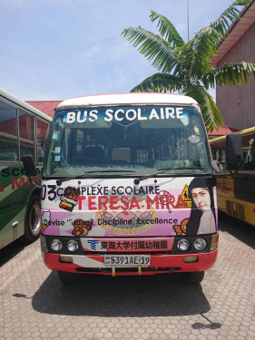 Minibus Accoster (2)