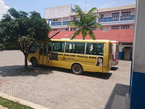 Minibus Accoster (2)