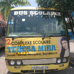 Minibus Accoster (2)