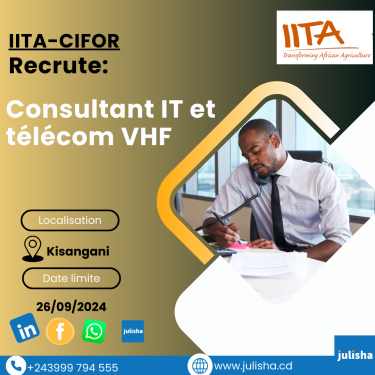 Consultant IT et télécom VHF