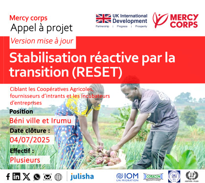 Stabilisation réactive par la transition (RESET) Version mise à jours