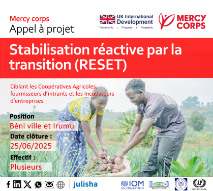 Stabilisation réactive par la transition (RESET) Version mise à jours