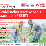 Stabilisation réactive par la transition (RESET) Version mise à jours