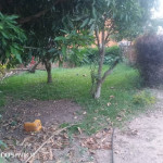 Villa mis en vente