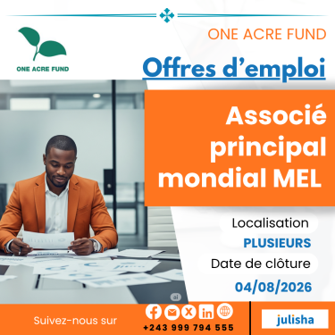 Associé principal mondial MEL (CDD)